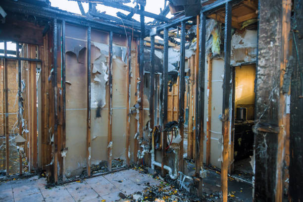 Professional Fire Damage Removal technician working in Springtown, PA