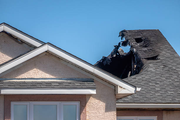 Top rated local Fire Damage Removal specialists in Springtown, PA